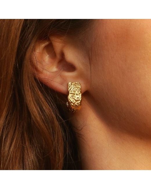 ASSUWA Metallic Babylon Hoop Earrings