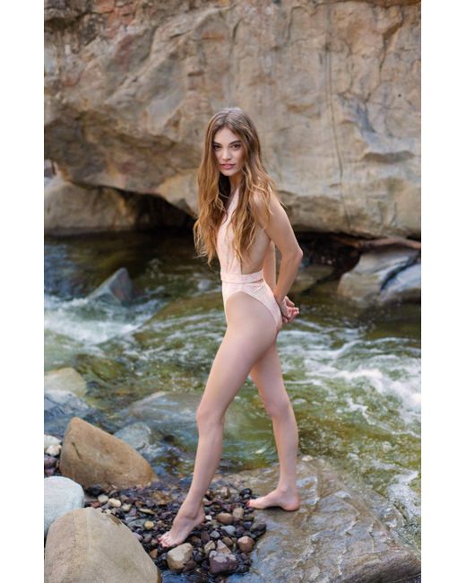 Catnip and Seaweed Multicolor The One-Piece Swimsuit