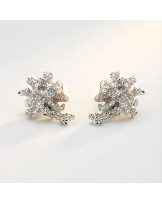 Dainty London Metallic Dainty Saltwater Coral Stud Earrings