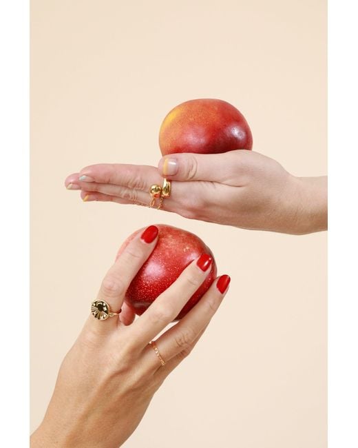 Leeada Jewelry Metallic Realm Dome Wrap Ring