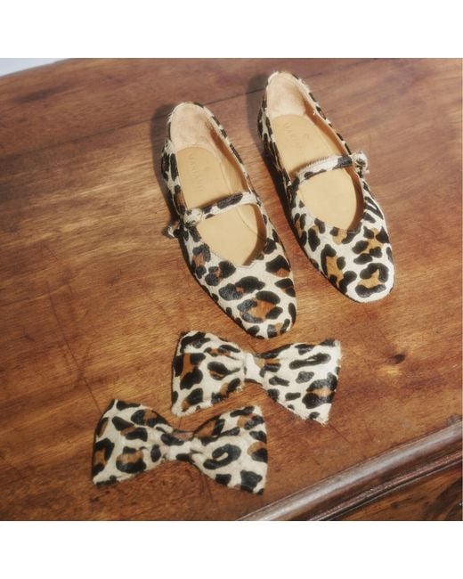 Mariano Shoes Brown Cacia Ballerina Leopard