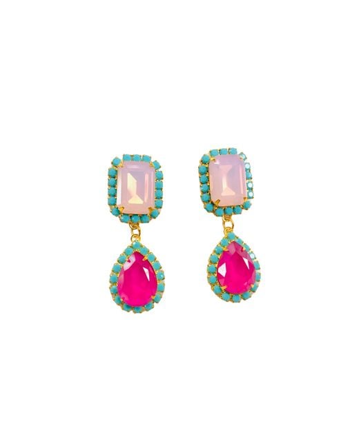 The Pink Reef Pink Jewel Drop Neons