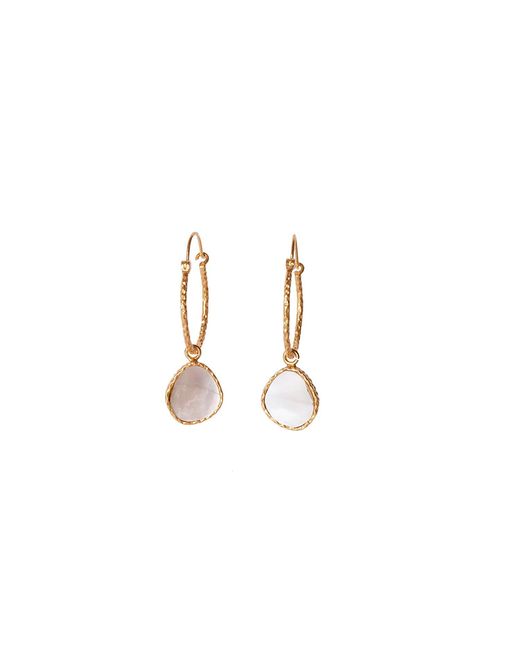 Christina Greene Metallic Mini Hoop Earrings