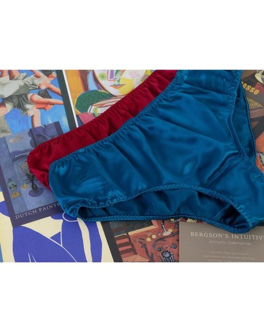 Soft Strokes Silk Blue Set Of Two Pure Mulberry Silk Bikini Pantie