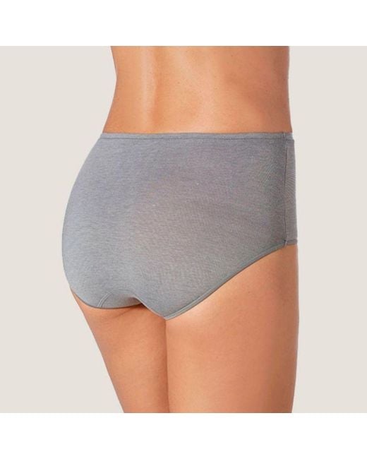 Zd - Zero Defects Gray Atenea High-Waist Brief – Stylisht Fit & Comfort With Soy Fiber