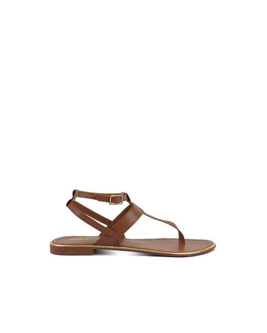 Rag & Co Brown Irene Tan Flat Thong Sandals By Rag & Co