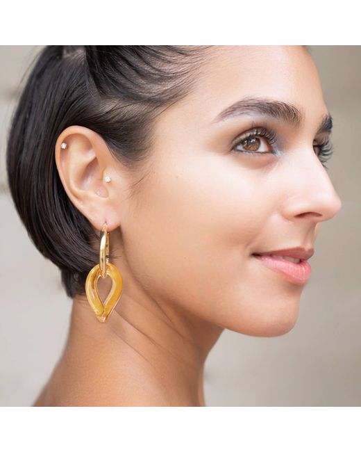 Gold & Honey Metallic And Lucite Curb Link Drop Hoop Earrings