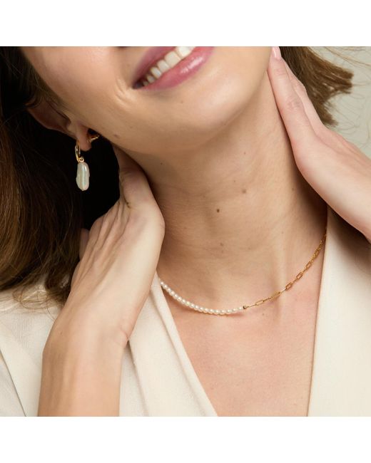Pearls of the Orient Online Metallic Credo Oval Cultured Freshwater Pearl & Link Chain Necklace