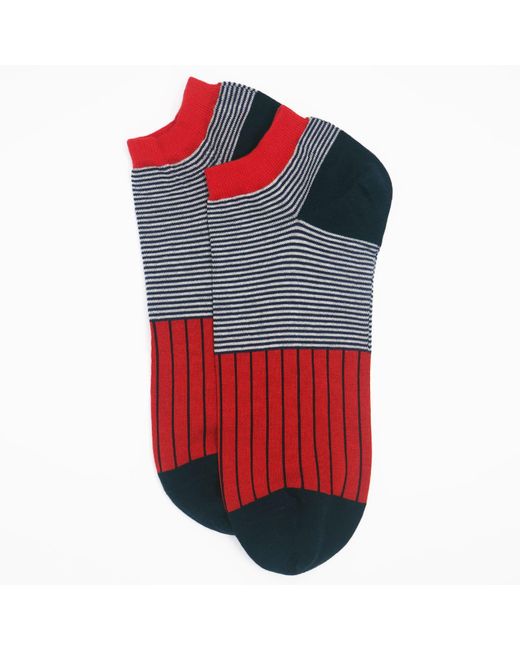 Peper Harow - Made in England Red Oxford Stripe Scarlet & Classic Trainer Socks Bundle for men
