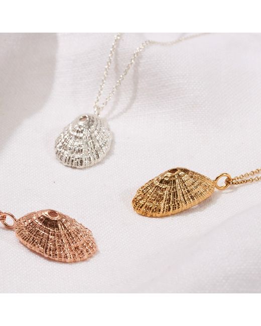Posh Totty Designs Metallic Plated Limpet Shell Necklace