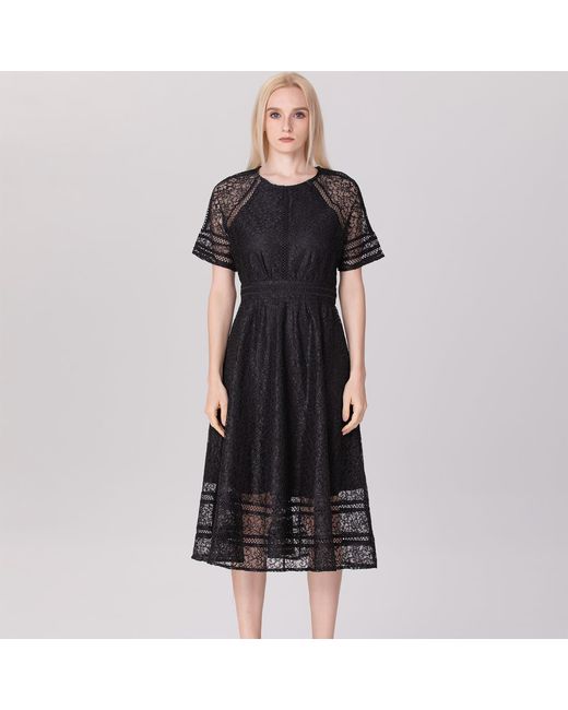 Smart and Joy Black All-Lace Flared Dress And Trims