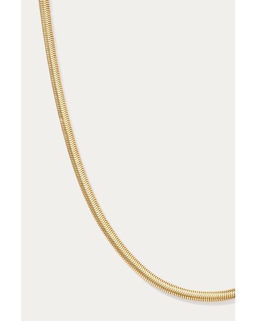Vanhi Metallic Estelle Herringbone Chain Necklace