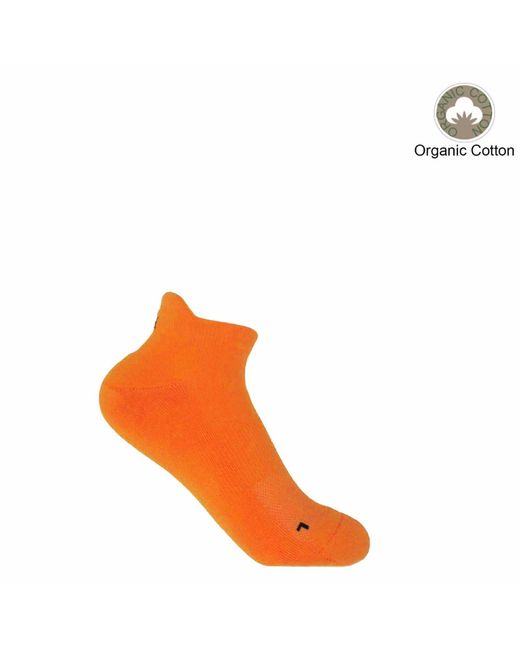 Peper Harow - Made in England Pink Organic Trainer Socks Bundle –