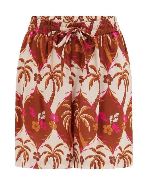 Sugarhill Red Patty Shorts Browns, Palm Waves Tile