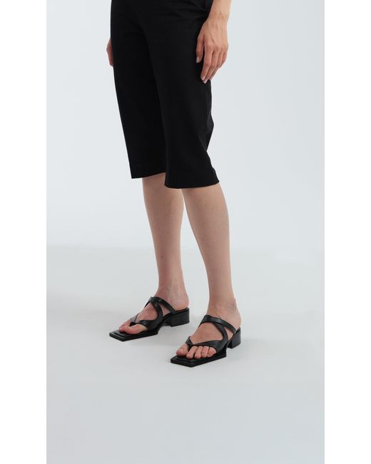 PREVU Black Karel Mule