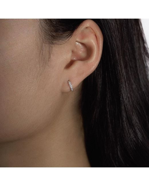 Diamonbliss Metallic Pave Hoop Earrings, Eleven Millimeter, Platinum