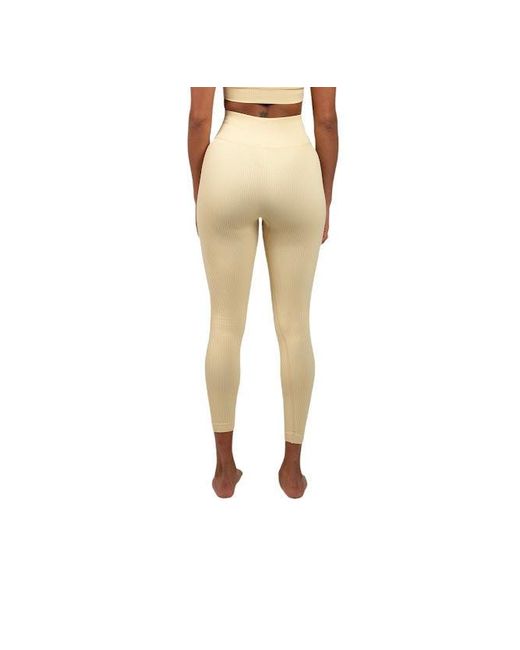 Bellaria Green Cabernet Sculpt Legging- Sage