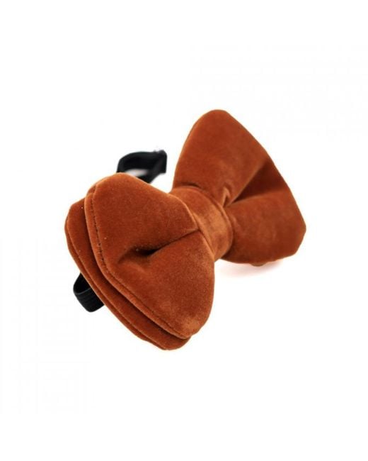 DAVID WEJ Brown Velvet Pretied Bow Tie – for men