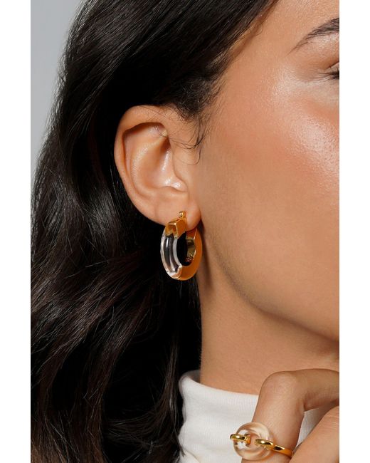 Zynnia Collective Metallic Split Hoops