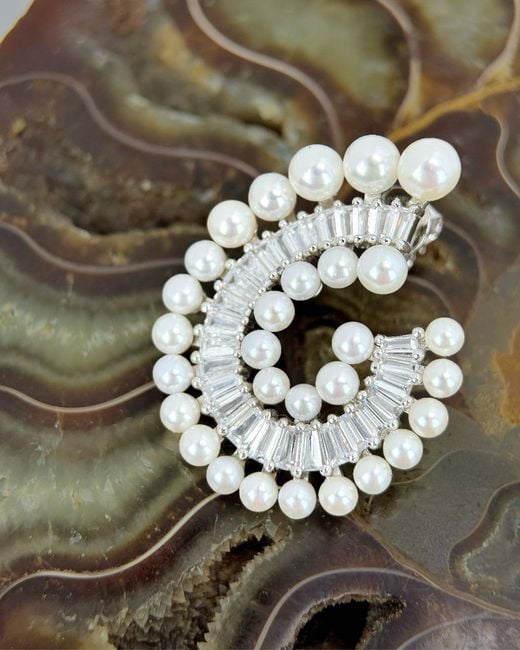 Smuccii White Nautilus