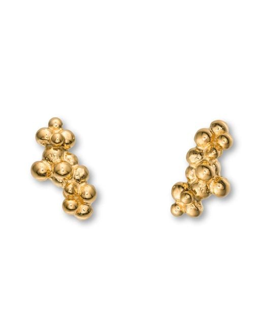EVA REMENYI Metallic Céleste Deux Caviar Stud Earrings