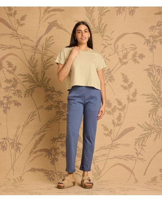 Known Supply Blue Mid Rise Slim Pants