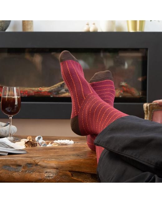 Peper Harow - Made in England Multicolor Dash Socks Bundle for men