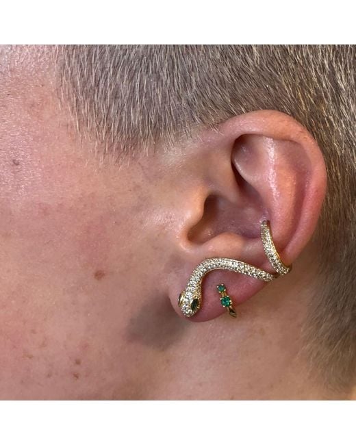 The Link Between White Serpent Ear Climber