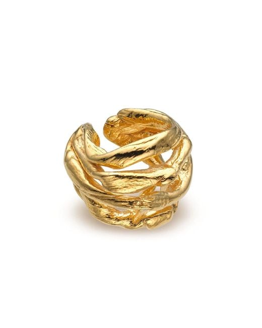 EVA REMENYI Metallic Talisman Wave Ear Cuff