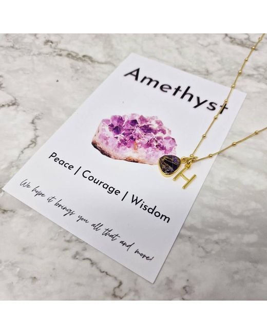 Harfi Metallic Vermeil Plated Amethyst February Birthstone Initial Charm Necklace