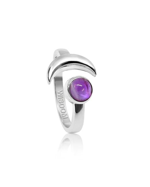 The Jewellery Store London Purple Adjustable February Birthstone Ring