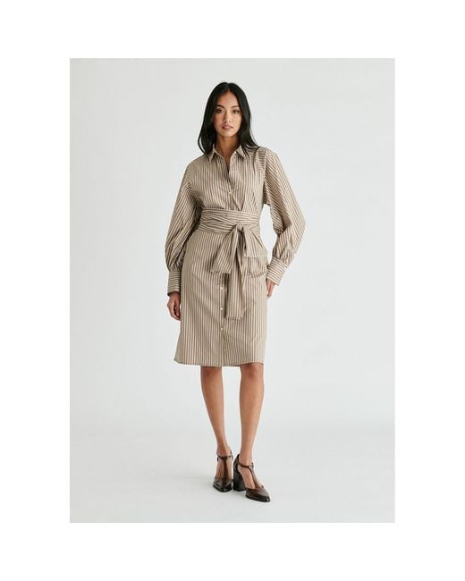 Paisie Natural Neutrals Striped Volume Sleeve Shirt Dress With Matching Tie Belt