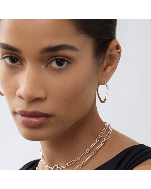 Dinny Hall Metallic Thalassa Medium Hoops