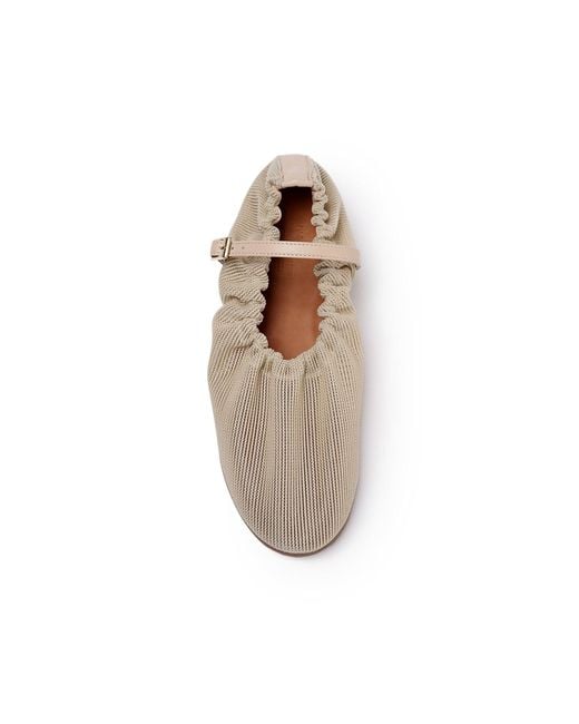Naguisa Multicolor Neutrals Leonora Taupe Mesh