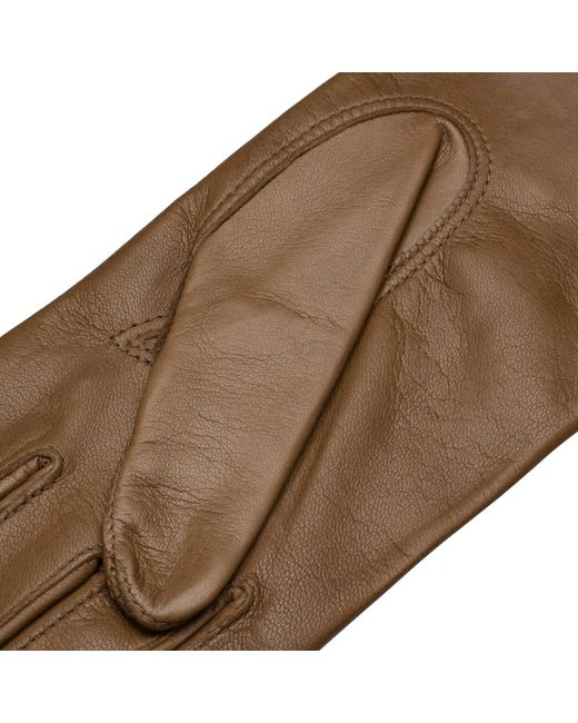 1861 Glove Manufactory Brown Vernazza