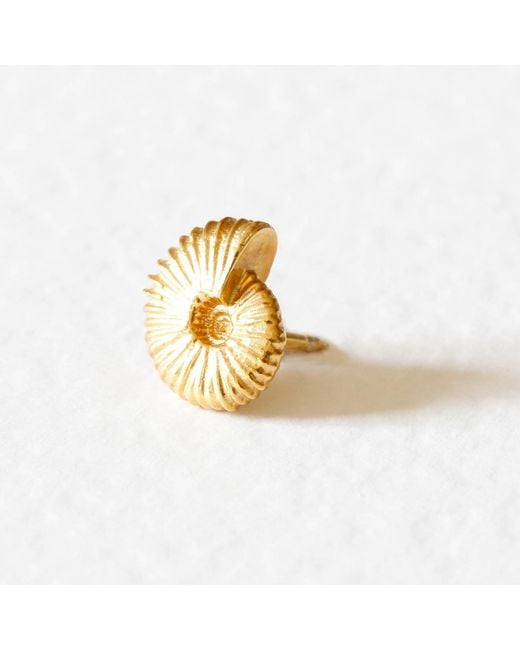 Lee Renee Metallic Ammonite Lapel Pin – for men