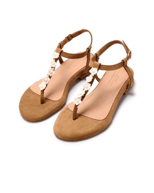 Naguisa Brown Savina Flower Camel