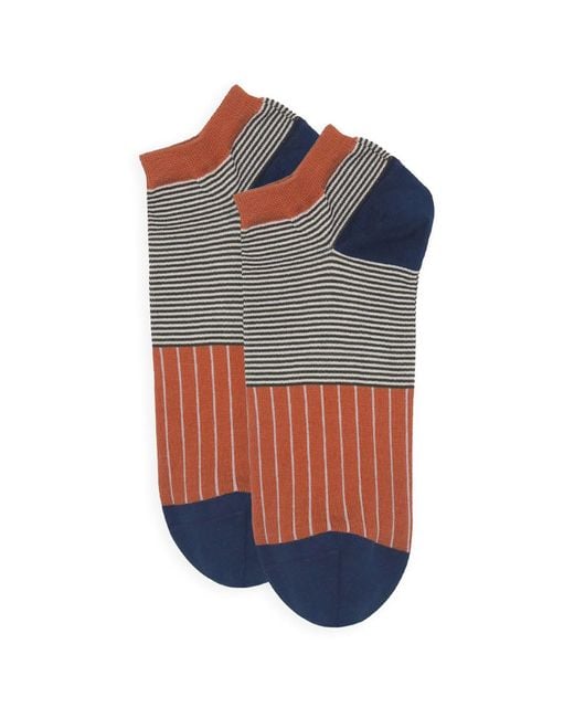 Peper Harow - Made in England Blue Oxford Stripe & Mayfair Scarlet Trainer Socks Bundle for men