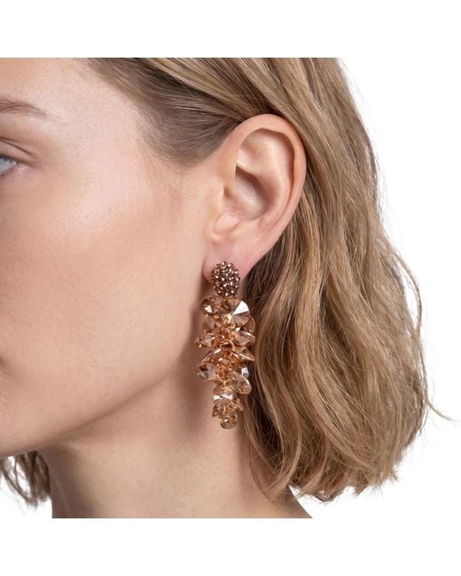 Modenaire Brown Crystal Drop Earrings With Sparkling Accents