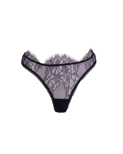 Noblesse Oblige Purple Solstice Thong