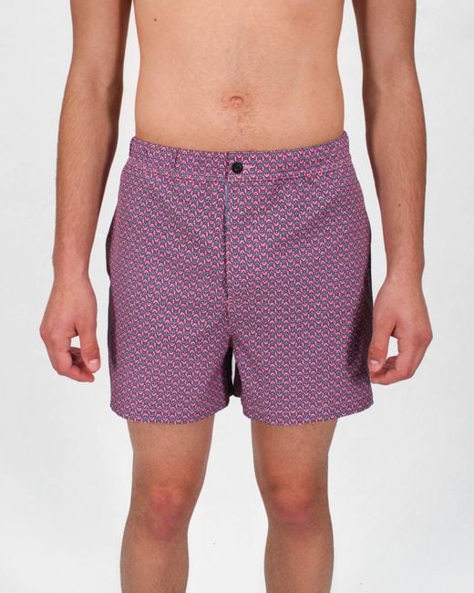 Lords of Harlech Purple Quack Large Turtle Swim Trunk for men