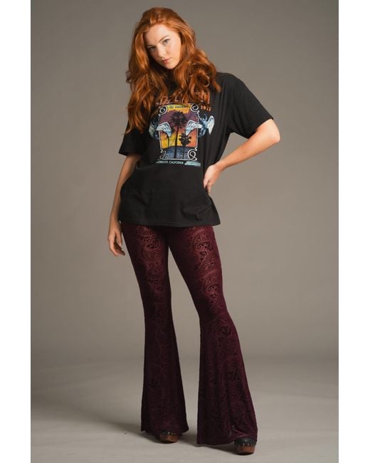 Little Lies Red Hendrix Plum Devore Velvet Flares