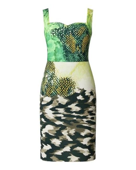 Conquista Green Sleeveless Animal Print Dress