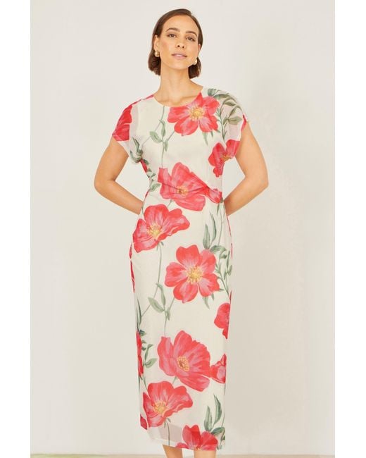 Yumi' Red Neutrals Ivory Poppy Print Midi Mesh Dress