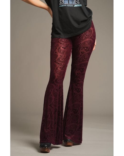 Little Lies Red Hendrix Plum Devore Velvet Flares