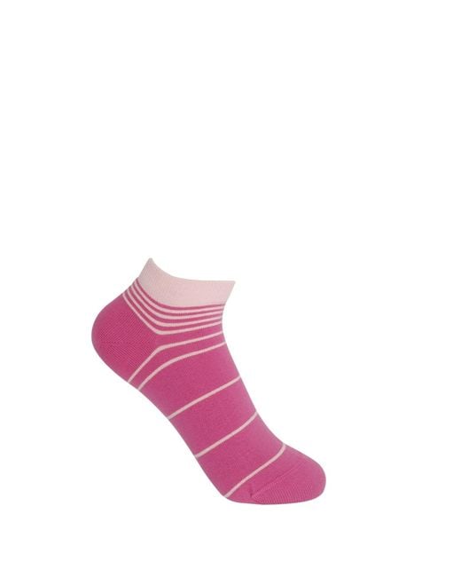 Peper Harow - Made in England Pink Retro Stripe Luxury Crew & Trainer Socks Bundle