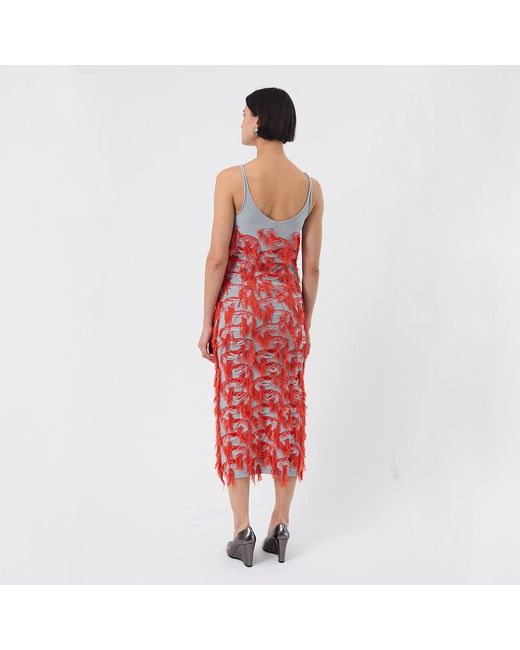 Ccy Currency Red Cotton Fringe Dress