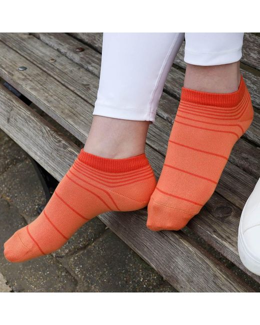 Peper Harow - Made in England Red Retro Stripe Luxury Crew & Trainer Socks Bundle