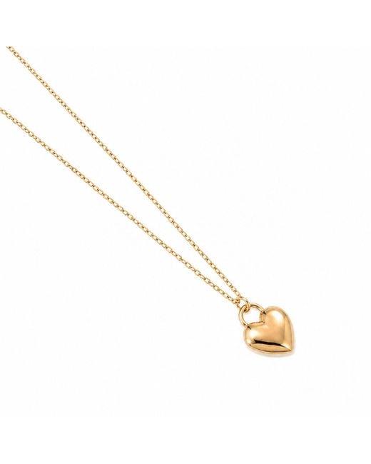 Cier Metallic Heart Necklace