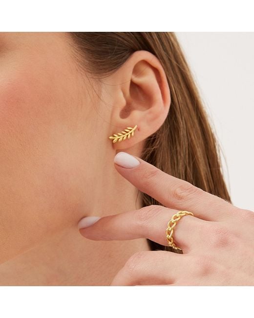 Spero London Metallic Wheat Earrings Ear Of Wheat Sterling Stud Earring